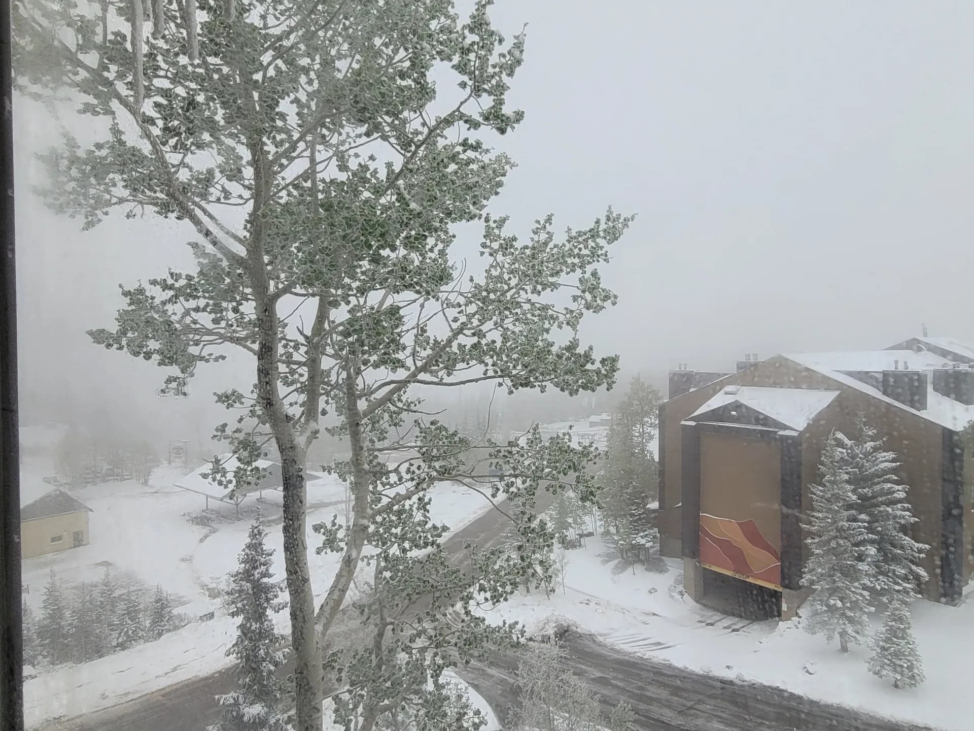 Green mountain landscape and lodge surroundings in warmer months
